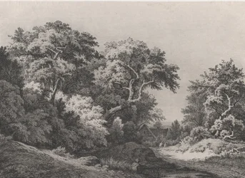 The Edge of the Woods, perto de Rambouillet, 1860.