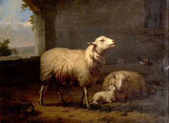 Ovelha, 1876
