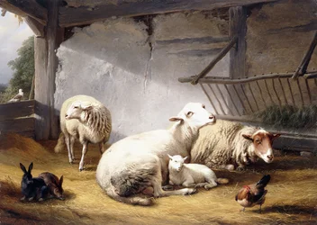 Ovelhas, coelhos e uma galinha em um celeiro, 1859