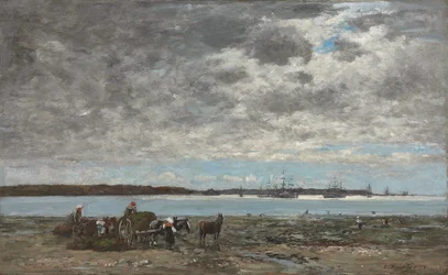 Colheita de algas, porto de Brest