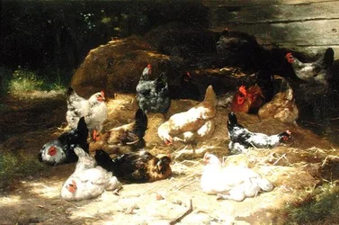 Frangos (óleo sobre tela)