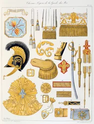 Rei Guarda Cavalos Leves, Insígnias