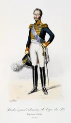 Guardas de pé comuns do corpo do rei, capitão-coronel, 1817-30