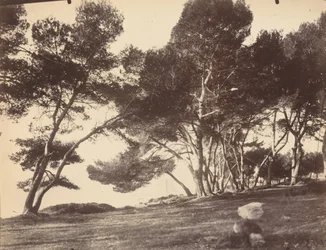 Cannes, Ilha de Saint Honorat