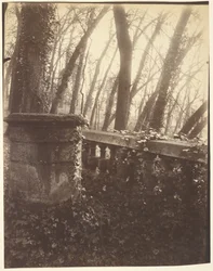 Parque Saint-Cloud, Paris