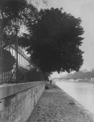 Vista da Ponte das Artes da Terre-Plein de Pont Neuf, 1911
