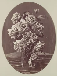 [Rosas], c. 1875.