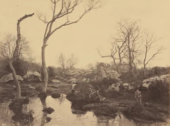 Bela Cruz, c. 1858.