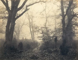 [Floresta de Fontainebleau], início da década de 1860.