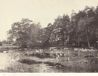 Pântano em Piat (Belle-Croix Plateau)