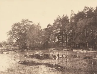Pântano de Piat (Planalto de Belle-Croix), c. 1863 (foto)