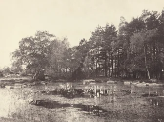 Marsh em Piat Belle-Croix Plateau, c. 1863.