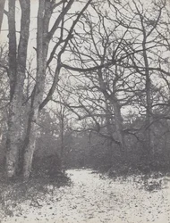 Estrada na floresta, 1860-1863.