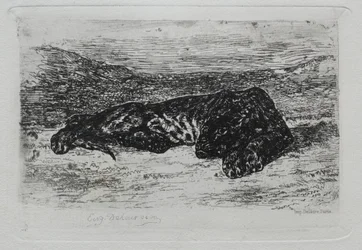 Tigre agachado no deserto