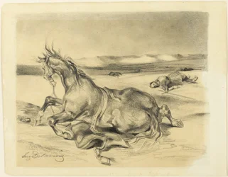 Cavalo Caído e Cavaleiro Morto