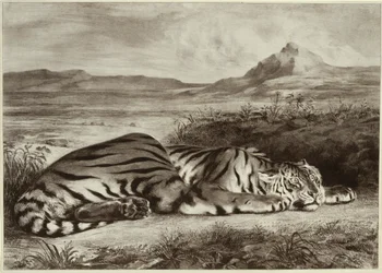 Tigre Real