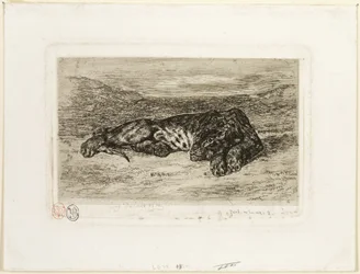 Tigre descansando no deserto