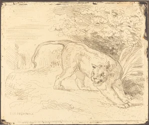 Tigre em parada