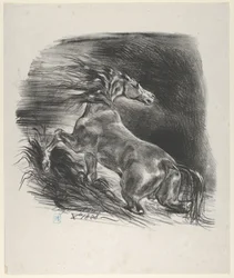 Cavalo Selvagem, 1828., 1828.