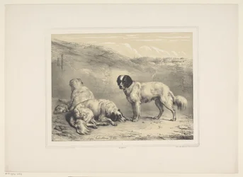 secar honden Vários tamme dieren (título da série) Treze temas de animais domésticos e nativos (título da série)