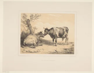 Duas vacas
Vários animais (título da série)
Études d