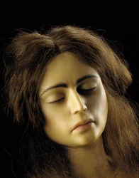 Modelo anatômico de uma gravidez ovariana, detalhe