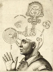 Diagrama do pensamento humano e dos quatro sentidos, c.1650 (gravura)