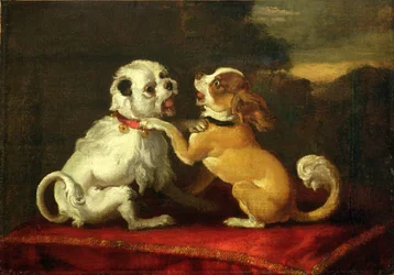 Cães em Brincar (ver 204490)
