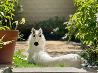 Backwards Dog Brooklyn (arte digital)
