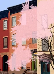 Cerejeiras em flor, 7th Street, 2025 (arte digital)