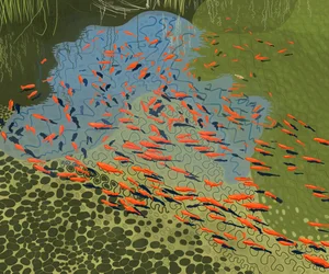 Lago de coiotes no jardim botânico (arte digital)