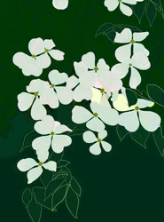 Dogwood em flor, c.2020-24 (arte digital)