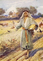 Um semeador começou a semear (litografia a cores)