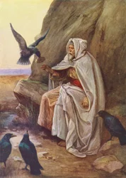 As aves que partilhavam o seu alimento (litografia a cores)