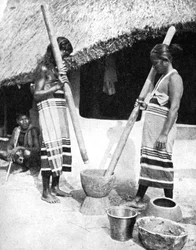 Mulheres Newar batendo grãos, Nepal, 1936.