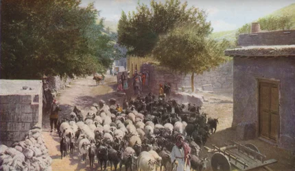 Palestina, c1930s