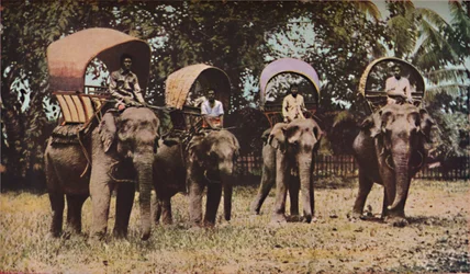 Siam, c1930s