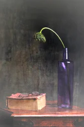 Flor murcha e livro