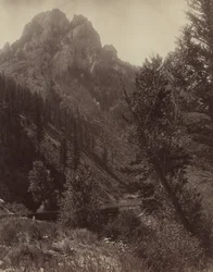 Sem título, c. 1884.