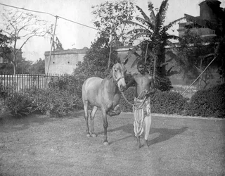 Homem com um cavalo, Alipore, Índia, 1905-1906