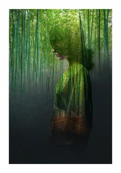 A Mulher da Floresta de Bambu