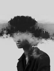 Retrato de uma floresta surreal