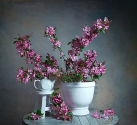 Elegante natureza-morta floral
