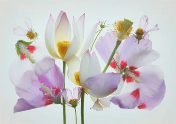 Composição floral etérea