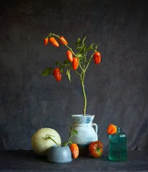 Natureza-morta rústica com tomates cor de laranja