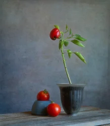 Natureza-morta com pimento vermelho
