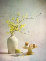 Deliciosas forsítias amarelas