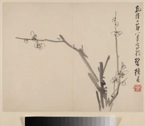 Álbum de ameixas em flor