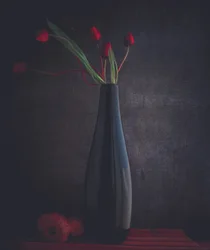 Tulipas Vermelhas Elegantes