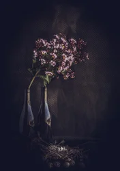 Natureza morta floral rústica